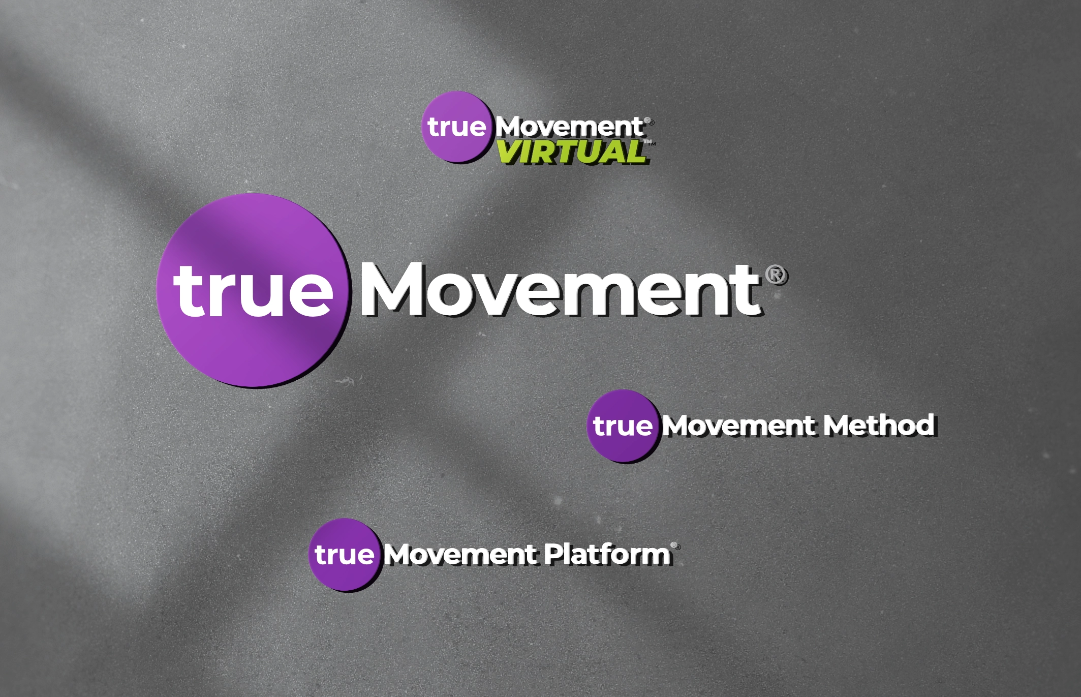 True Movement logo family