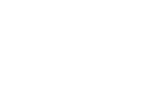 Segreti Design logo